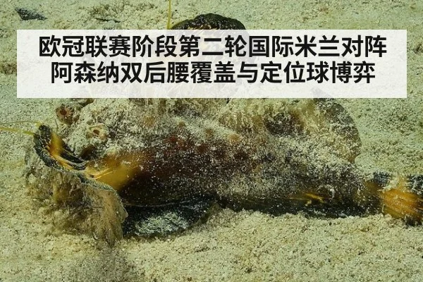 欧冠联赛阶段第二轮国际米兰对阵阿森纳双后腰覆盖与定位球博弈